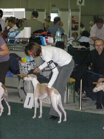 Rabit Svetovka 010.jpg